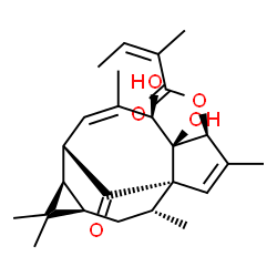 ChemSpider 2D Image | (1S,4S,5S,6R,9S,10R,12R,14R)-5,6-Dihydroxy-3,7,11,11,14-pentamethyl-15-oxotetracyclo[7.5.1.0~1,5~.0~10,12~]pentadeca-2,7-dien-4-yl (2Z)-2-methyl-2-butenoate | C25H34O5