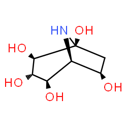 ChemSpider 2D Image | (1S,2R,3S,4R,5S,6R)-8-Azabicyclo[3.2.1]octane-1,2,3,4,6-pentol | C7H13NO5