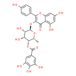 ChemSpider 2D Image | 5,7-Dihydroxy-2-(4-hydroxyphenyl)-4-oxo-4H-chromen-3-yl 6-deoxy-4-O-(3,4,5-trihydroxybenzoyl)-alpha-D-talopyranoside | C28H24O14