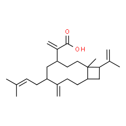 ChemSpider 2D Image | 2-[12-Isopropenyl-1-methyl-6-(3-methyl-2-buten-1-yl)-7-methylenebicyclo[8.2.0]dodec-4-yl]acrylic acid | C25H38O2