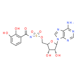 ChemSpider 2D Image | 9-[(4xi)-5-O-{[(2,3-Dihydroxybenzoyl)azanidyl]sulfonyl}-D-erythro-pentofuranosyl]-9H-purin-6-amine | C17H17N6O9S