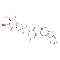 ChemSpider 2D Image | (2S)-3-(1H-Indol-3-yl)-2-({(2S)-4-methyl-2-[({[(2S,3R,4R,5R,6S)-3,4,5-trihydroxy-6-methyltetrahydro-2H-pyran-2-yl]oxy}phosphinato)amino]pentanoyl}amino)propanoate (non-preferred name) | C23H32N3O10P