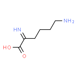 ChemSpider 2D Image | 6-Amino-2-iminohexanoic acid | C6H12N2O2