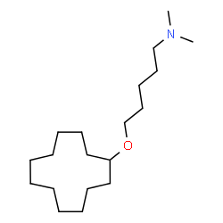 ChemSpider 2D Image | 5-(Cyclododecyloxy)-N,N-dimethyl-1-pentanamine | C19H39NO