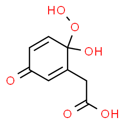 ChemSpider 2D Image | [(6R)-6-Hydroperoxy-6-hydroxy-3-oxo-1,4-cyclohexadien-1-yl]acetic acid | C8H8O6