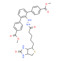 ChemSpider 2D Image | Dimethyl 2'-(2-{5-[(3aS,4S,6aR)-2-oxohexahydro-1H-thieno[3,4-d]imidazol-4-yl]pentanoyl}hydrazino)-1,1':3',1''-terphenyl-4,4''-dicarboxylate | C32H34N4O6S