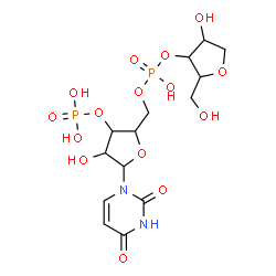 ChemSpider 2D Image | (2r,3s,4r,5r)-5-(2,4-Dioxo-3,4-Dihydropyrimidin-1(2h)-Yl)-4-Hydroxy-2-({[(S)-Hydroxy{[(2r,3s,4s)-4-Hydroxy-2-(Hydroxymethyl)tetrahydrofuran-3-Yl]oxy}phosphoryl]oxy}methyl)tetrahydrofuran-3-Yl Dihydrogen Phosphate | C14H22N2O15P2