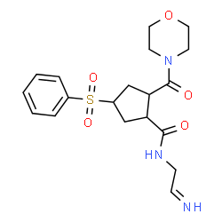 ChemSpider 2D Image | (1R,2R,4R)-N-(2-Iminoethyl)-2-(4-morpholinylcarbonyl)-4-(phenylsulfonyl)cyclopentanecarboxamide | C19H25N3O5S
