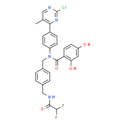ChemSpider 2D Image | N-[4-(2-Chloro-5-methyl-4-pyrimidinyl)phenyl]-N-(4-{[(difluoroacetyl)amino]methyl}benzyl)-2,4-dihydroxybenzamide | C28H23ClF2N4O4