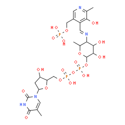 ChemSpider 2D Image | [[(2R,3S,5R)-5-[5-methyl-2,4-bis(oxidanylidene)pyrimidin-1-yl]-3-oxidanyl-oxolan-2-yl]methoxy-oxidanyl-phosphoryl] [(2R,3R,4S,5R,6R)-6-methyl-5-[(E)-[2-methyl-3-oxidanyl-5-(phosphonooxymethyl)pyridin-4-yl]methylideneamino]-3,4-bis(oxidanyl)oxan-2-yl] | C24H35N4O19P3