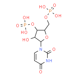 ChemSpider 2D Image | Uridine 3',5'-bis(dihydrogen phosphate) | C9H14N2O12P2