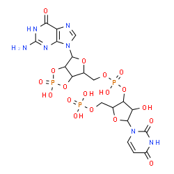 ChemSpider 2D Image | 3'-O-[(R)-{[(2R,3aR,4R,6R,6aR)-6-(2-Amino-6-oxo-1,6-dihydro-9H-purin-9-yl)-2-hydroxy-2-oxidotetrahydrofuro[3,4-d][1,3,2]dioxaphosphol-4-yl]methoxy}(hydroxy)phosphoryl]uridine 5'-(dihydrogen phosphate) | C19H24N7O18P3
