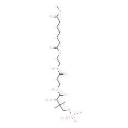 ChemSpider 2D Image | Methyl 7-{[2-({N-[(2S)-2-hydroxy-3,3-dimethyl-4-(phosphonooxy)butanoyl]-beta-alanyl}amino)ethyl]sulfanyl}-7-oxoheptanoate | C19H35N2O10PS