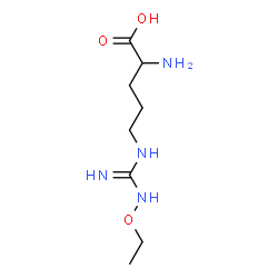 ChemSpider 2D Image | N~5~-(N-Ethoxycarbamimidoyl)-L-ornithine | C8H18N4O3