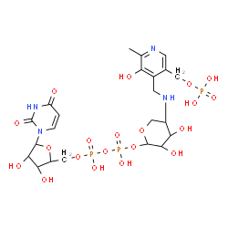 ChemSpider 2D Image | (2R,3R,4S,5S)-3,4-dihydroxy-5-[({3-hydroxy-2-methyl-5-[(phosphonooxy)methyl]pyridin-4-yl}methyl)amino]tetrahydro-2H-pyran-2-yl [(2R,3S,4R,5R)-5-(2,4-dioxo-3,4-dihydropyrimidin-1(2H)-yl)-3,4-dihydroxytetrahydrofuran-2-yl]methyl dihydrogen diphosphate | C22H33N4O20P3
