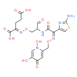 ChemSpider 2D Image | (2E)-2-{[(2S)-2-{[(2Z)-2-(2-Amino-1,3-thiazol-4-yl)-2-{[(1,5-dihydroxy-4-oxo-1,4-dihydro-2-pyridinyl)methoxy]imino}acetyl]amino}-3-oxopropoxy]imino}pentanedioic acid | C19H20N6O11S