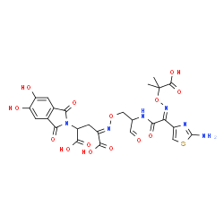 ChemSpider 2D Image | (4Z,8S,11E,14S)-5-(2-Amino-1,3-thiazol-4-yl)-14-(5,6-dihydroxy-1,3-dioxo-1,3-dihydro-2H-isoindol-2-yl)-8-formyl-2-methyl-6-oxo-3,10-dioxa-4,7,11-triazatetradeca-4,11-diene-2,12,14-tricarboxylic acid | C25H24N6O14S