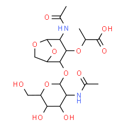 ChemSpider 2D Image | (2R)-2-{[(1R,2S,3R,4R,5R)-4-Acetamido-2-{[(2S,3R,4R,5S,6R)-3-acetamido-4,5-dihydroxy-6-(hydroxymethyl)tetrahydro-2H-pyran-2-yl]oxy}-6,8-dioxabicyclo[3.2.1]oct-3-yl]oxy}propanoic acid (non-preferred na
me) | C19H30N2O12