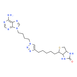 ChemSpider 2D Image | (3aS,4S,6aR)-4-(5-{1-[4-(6-Amino-9H-purin-9-yl)butyl]-1H-1,2,3-triazol-4-yl}pentyl)tetrahydro-1H-thieno[3,4-d]imidazol-2(3H)-one | C21H30N10OS