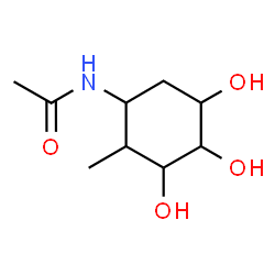 ChemSpider 2D Image | N-[(1S,2R,3R,4S,5R)-3,4,5-Trihydroxy-2-methylcyclohexyl]acetamide | C9H17NO4