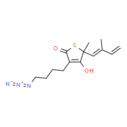 ChemSpider 2D Image | (R,E)-3-(4-azidobutyl)-4-hydroxy-5-methyl-5-(2-methylbuta-1,3-dien-1-yl)thiophen-2(5H)-one | C14H19N3O2S
