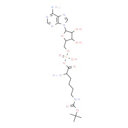 ChemSpider 2D Image | 5'-O-[(R)-{[(2S)-2-Amino-6-({[(2-methyl-2-propanyl)oxy]carbonyl}amino)hexanoyl]oxy}(hydroxy)phosphoryl]adenosine | C21H34N7O10P