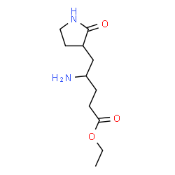 ChemSpider 2D Image | Ethyl (4R)-4-amino-5-[(3S)-2-oxo-3-pyrrolidinyl]pentanoate | C11H20N2O3