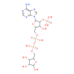 ChemSpider 2D Image | [[(2R,3R,4R,5R)-5-(6-aminopurin-9-yl)-3-oxidanyl-4-phosphonooxy-oxolan-2-yl]methoxy-oxidanyl-phosphoryl] [(2R,3S,4R,5S)-3,4,5-tris(oxidanyl)oxolan-2-yl]methyl hydrogen phosphate | C15H24N5O17P3