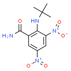 ChemSpider 2D Image | 2-[(2-Methyl-2-propanyl)amino]-3,5-dinitrobenzamide | C11H14N4O5