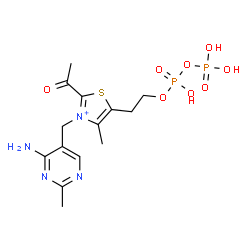ChemSpider 2D Image | 2-Acetyl-3-[(4-amino-2-methyl-5-pyrimidinyl)methyl]-5-(2-{[hydroxy(phosphonooxy)phosphoryl]oxy}ethyl)-4-methyl-1,3-thiazol-3-ium | C14H21N4O8P2S