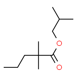 ChemSpider 2D Image | Isobutyl 2,2-dimethylpentanoate | C11H22O2