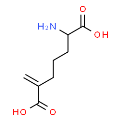 ChemSpider 2D Image | 2-amino-6-methylenepimelic acid | C8H13NO4