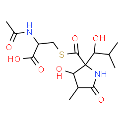 ChemSpider 2D Image | N-Acetyl-S-{[3-hydroxy-2-(1-hydroxy-2-methylpropyl)-4-methyl-5-oxo-2-pyrrolidinyl]carbonyl}cysteine | C15H24N2O7S