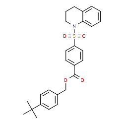 ChemSpider 2D Image | 4-(2-Methyl-2-propanyl)benzyl 4-(3,4-dihydro-1(2H)-quinolinylsulfonyl)benzoate | C27H29NO4S