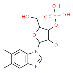 ChemSpider 2D Image | 5,6-Dimethyl-1-(3-O-phosphonopentofuranosyl)-1H-benzimidazole | C14H19N2O7P