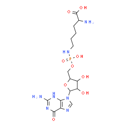 ChemSpider 2D Image | 2-Amino-6-{[{[5-(2-amino-6-oxo-3,6-dihydro-9H-purin-9-yl)-3,4-dihydroxytetrahydro-2-furanyl]methoxy}(hydroxy)phosphoryl]amino}hexanoic acid | C16H26N7O9P