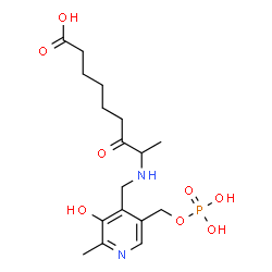 ChemSpider 2D Image | 8-[({3-Hydroxy-2-methyl-5-[(phosphonooxy)methyl]-4-pyridinyl}methyl)amino]-7-oxononanoic acid | C17H27N2O8P