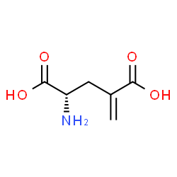 ChemSpider 2D Image | Î³-Methyleneglutamic acid | C6H9NO4