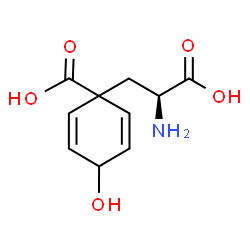 ChemSpider 2D Image | pretyrosine | C10H13NO5