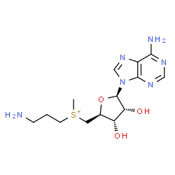 ChemSpider 2D Image | S-Adenosylmethioninamine | C14H23N6O3S