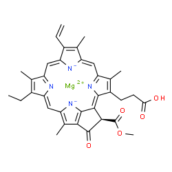 ChemSpider 2D Image | Magnesium (21R)-3-(2-carboxyethyl)-14-ethyl-21-(methoxycarbonyl)-4,8,13,18-tetramethyl-20-oxo-9-vinyl-3,4,23,25-tetradehydrophorbine-23,25-diide | C35H32MgN4O5