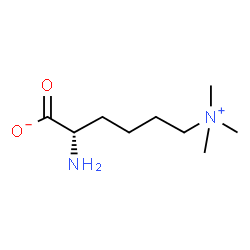 ChemSpider 2D Image | N6,N6,N6-Trimethyl-L-lysine | C9H20N2O2