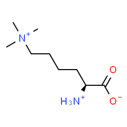 ChemSpider 2D Image | trimethyllysine | C9H21N2O2