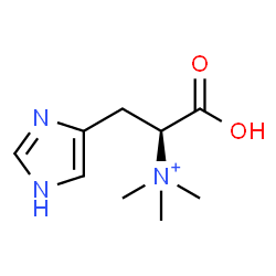 ChemSpider 2D Image | (1S)-1-Carboxy-2-(1H-imidazol-4-yl)-N,N,N-trimethylethanaminium | C9H16N3O2