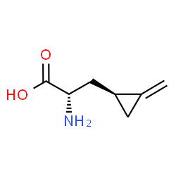 ChemSpider 2D Image | (2S,4S)-hypoglycin A | C7H11NO2
