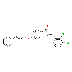 ChemSpider 2D Image | 2-(2,3-Dichlorobenzylidene)-3-oxo-2,3-dihydro-1-benzofuran-6-yl 3-phenylacrylate | C24H14Cl2O4