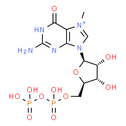 ChemSpider 2D Image | 7-methylguanosine 5'-diphosphate(1+) | C11H18N5O11P2