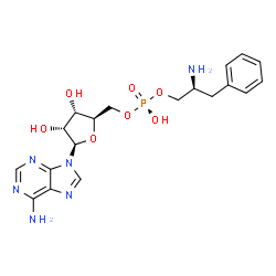 ChemSpider 2D Image | ADENOSINE-5'-[PHENYLALANINOL-PHOSPHATE] | C19H25N6O7P