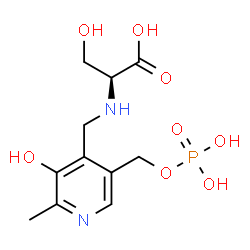 ChemSpider 2D Image | [3-hydroxy-2-methyl-5-phosphonooxymethyl-pyridin-4-ylmethyl]-serine | C11H17N2O8P
