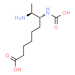ChemSpider 2D Image | 7-(carboxyamino)-8-amino-nonanoic acid | C10H20N2O4